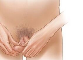 Jelling Übungen fir Penis ze erhéijen